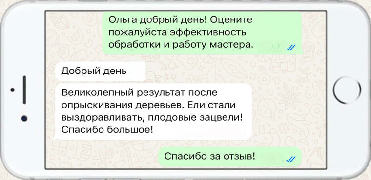 омолаживающая, формирующая и санитарная обрезка деревьев - фото №3