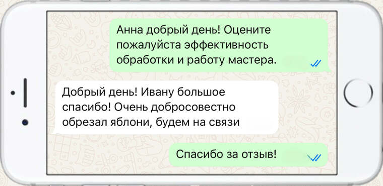 омолаживающая, формирующая и санитарная обрезка деревьев - фото №4