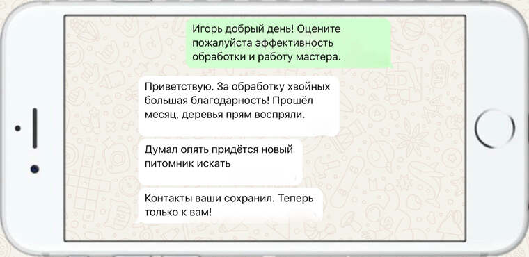 омолаживающая, формирующая и санитарная обрезка деревьев - фото №12