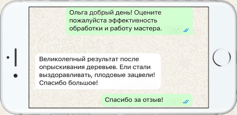 омолаживающая, формирующая и санитарная обрезка деревьев - фото №13