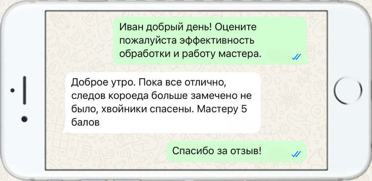 омолаживающая, формирующая и санитарная обрезка деревьев - фото №14