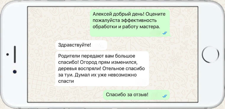 омолаживающая, формирующая и санитарная обрезка деревьев - фото №18