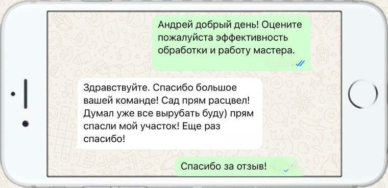 омолаживающая, формирующая и санитарная обрезка деревьев - фото №23