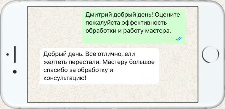 омолаживающая, формирующая и санитарная обрезка деревьев - фото №24
